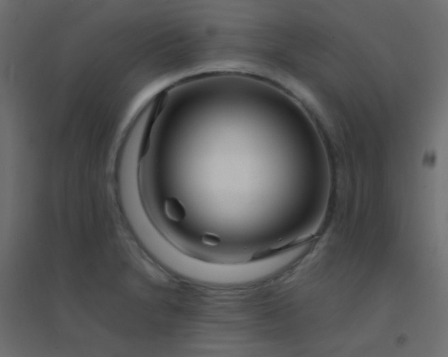 X0000094931230200712131530