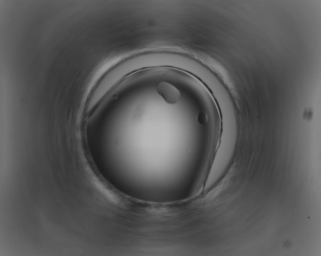 X0000094931231200712131530
