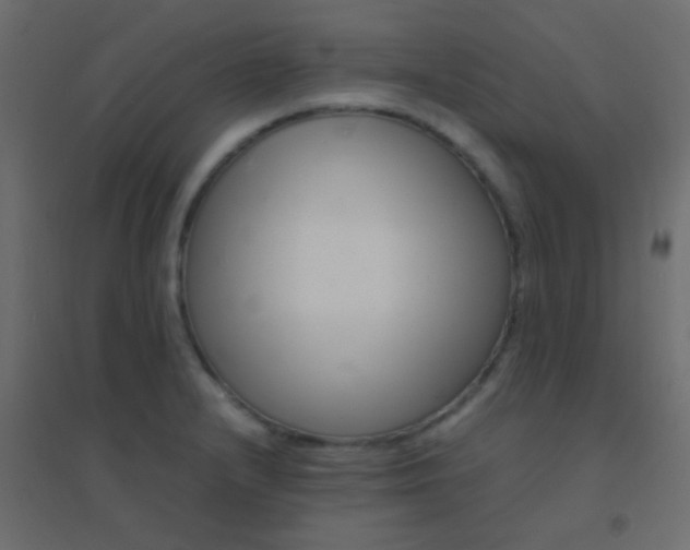 X0000094931232200712131530
