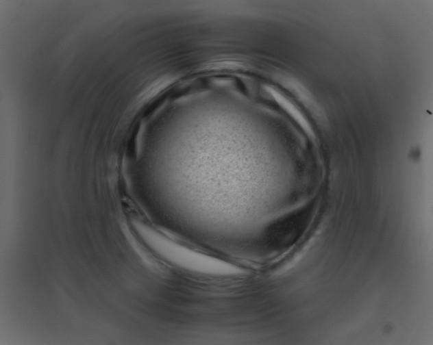 X0000094931233200712131530