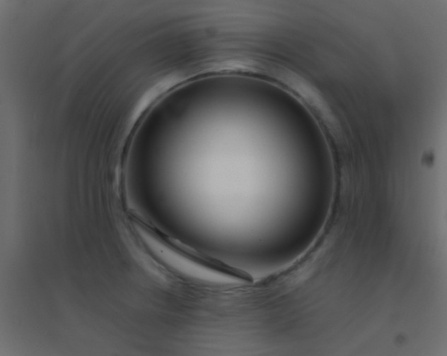 X0000094931234200712131530