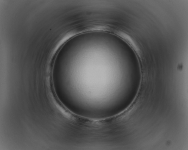 X0000094931235200712131530