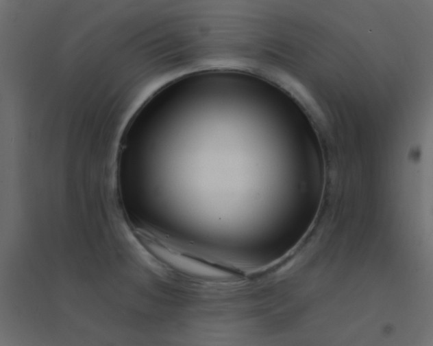 X0000094931236200712131530