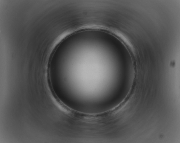 X0000094931237200712131530