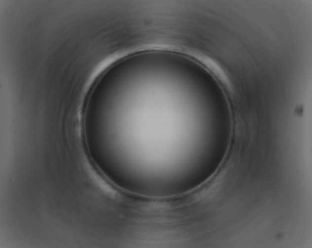 X0000094931238200712131530