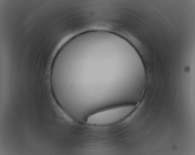 X0000094931240200712131530