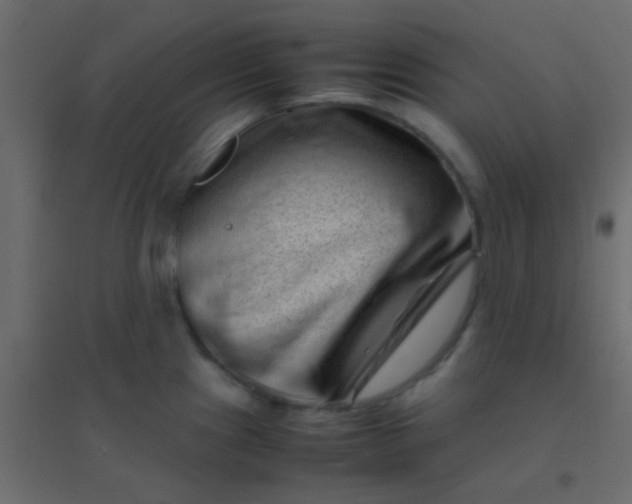 X0000094931241200712131530