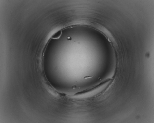 X0000094931242200712131530