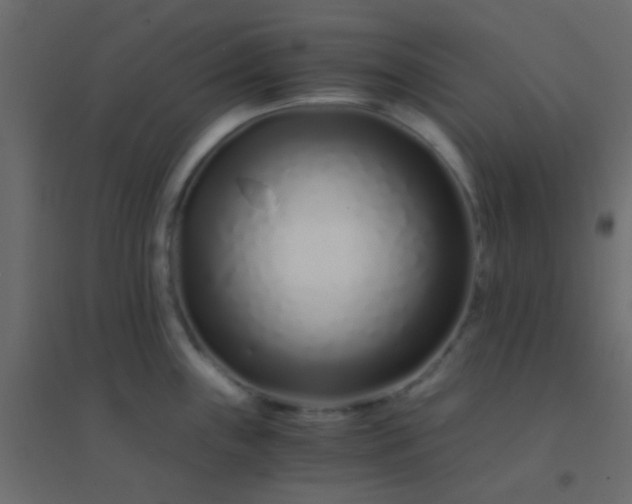 X0000094931243200712131530