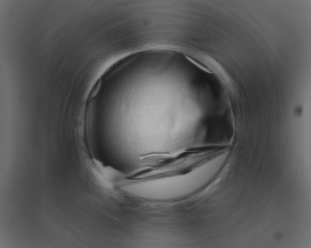 X0000094931244200712131530