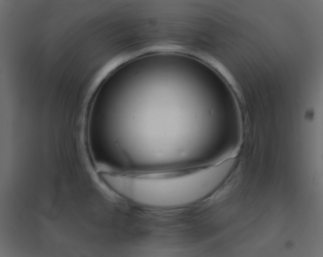 X0000094931245200712131530