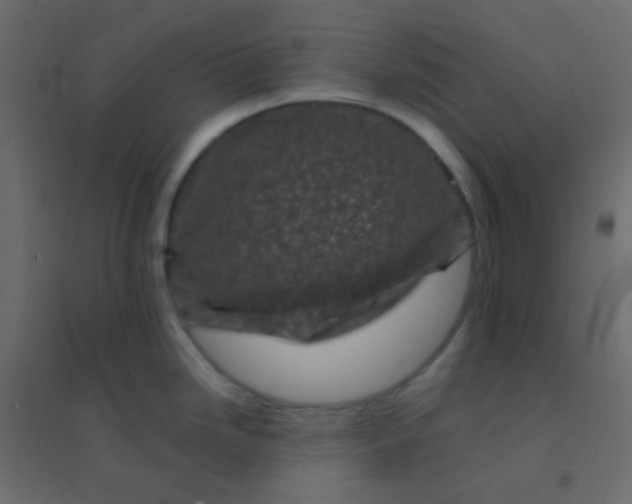 X0000094931246200712131530