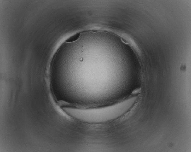 X0000094931247200712131530