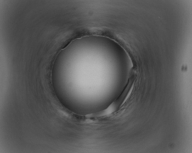 X0000094931249200712131529