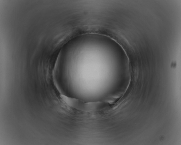 X0000094931250200712131529