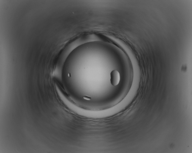X0000094931252200712131529