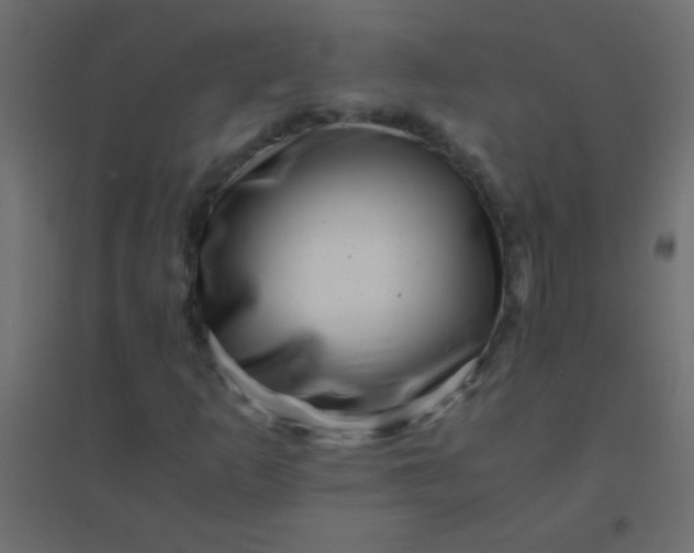 X0000094931253200712131529