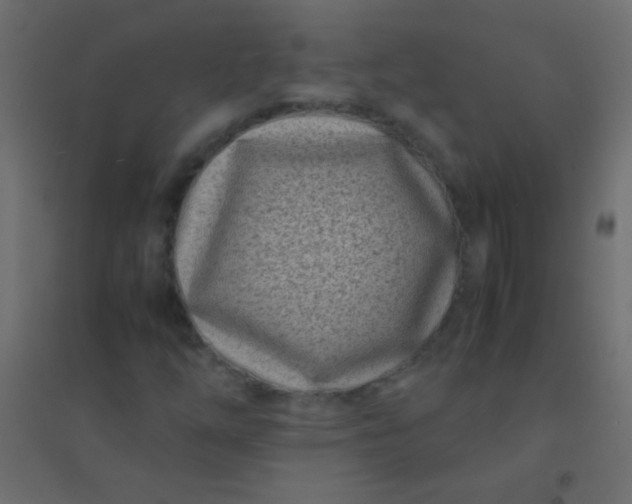 X0000094931254200712131529