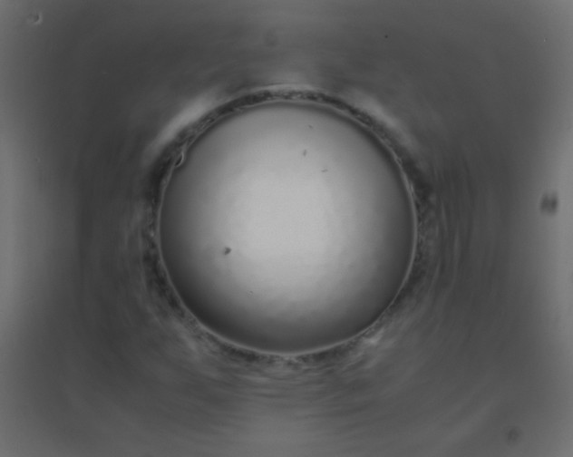 X0000094931255200712131529