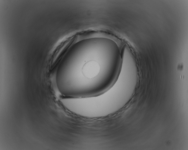 X0000094931256200712131529
