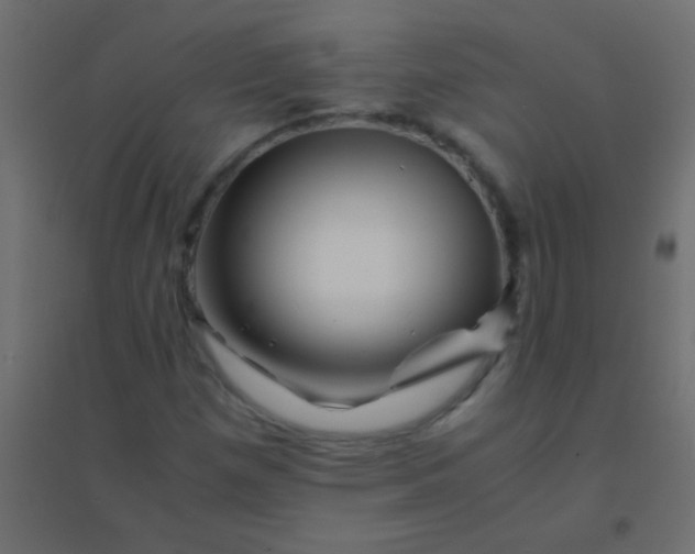 X0000094931257200712131529