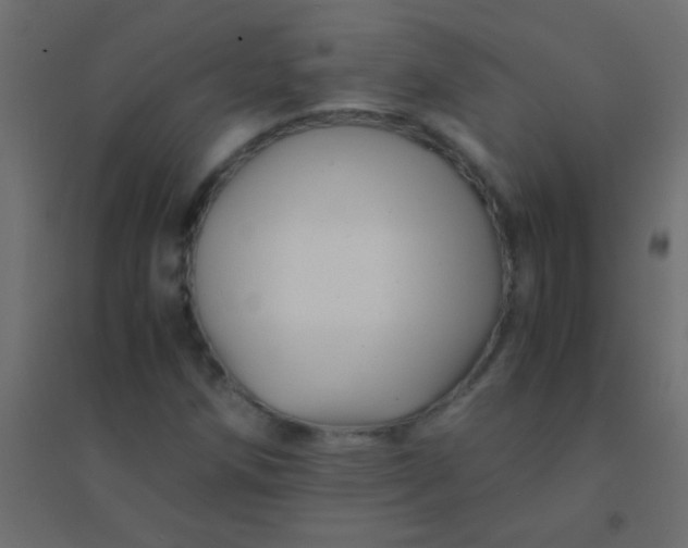 X0000094931258200712131529