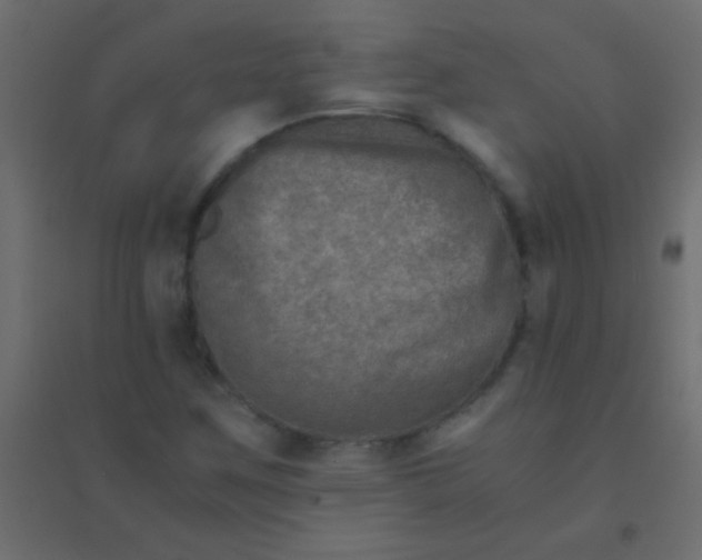X0000094931259200712131529