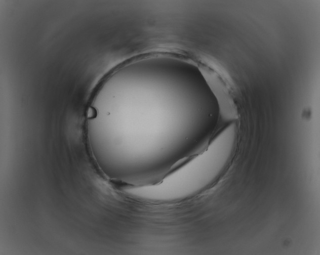 X0000094931260200712131529