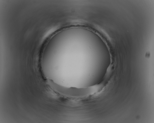 X0000094931261200712131529