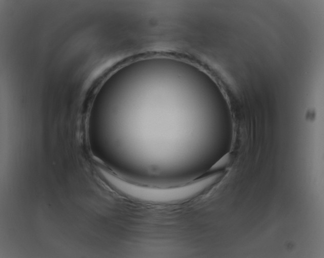 X0000094931262200712131529