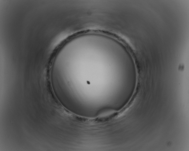 X0000094931263200712131529