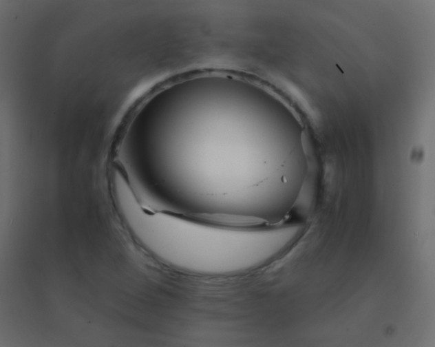 X0000094931264200712131529