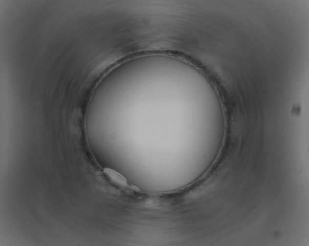X0000094931265200712131529