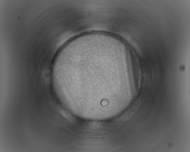X0000094931266200712131529