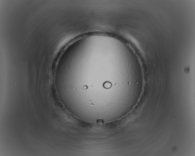 X0000094931267200712131529
