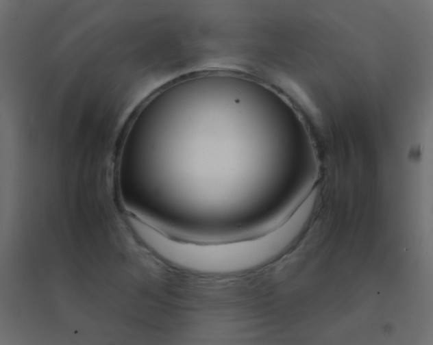 X0000094931268200712131529