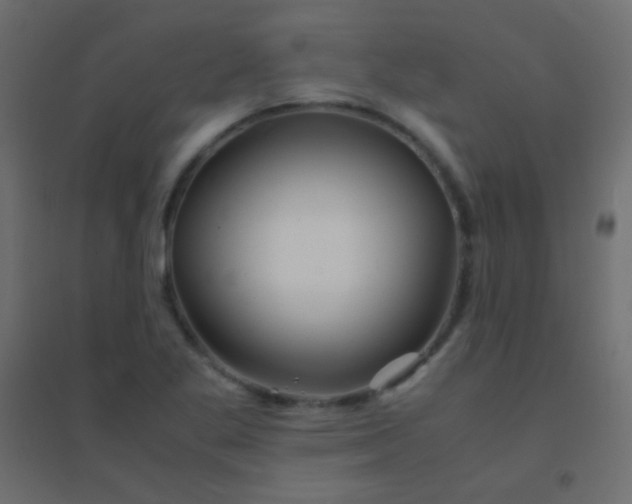 X0000094931269200712131529