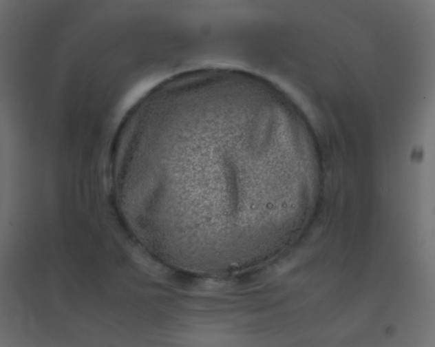 X0000094931271200712131529