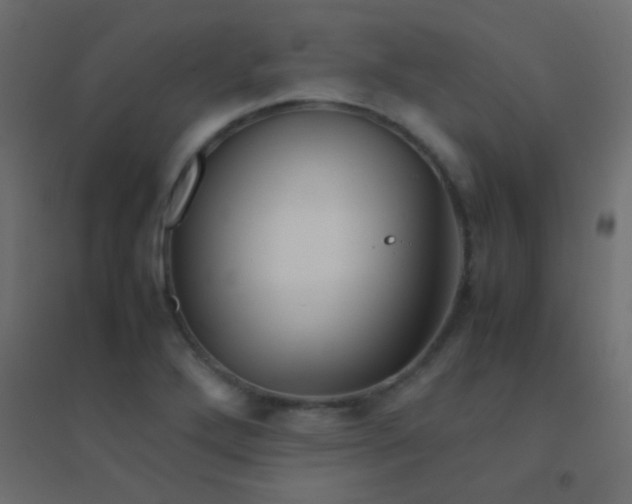 X0000094931272200712131529