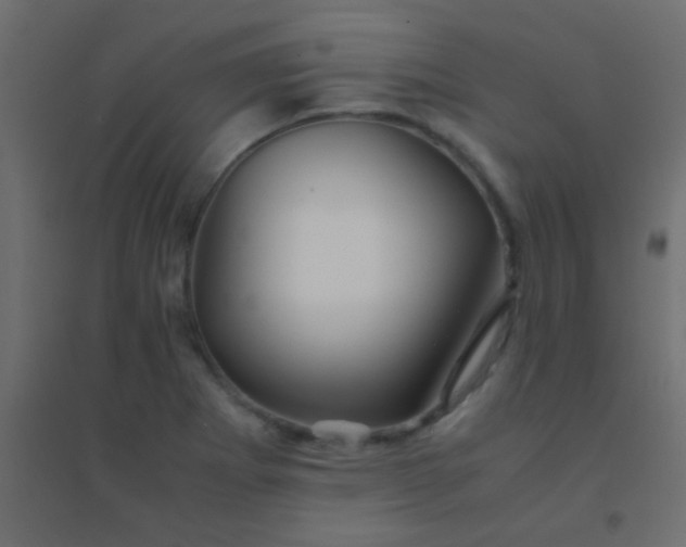 X0000094931273200712131529