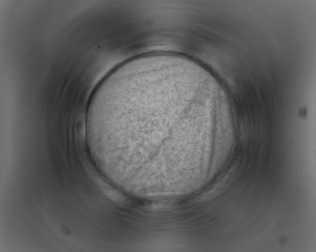 X0000094931274200712131529
