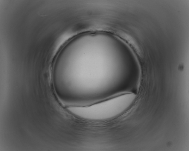 X0000094931275200712131529