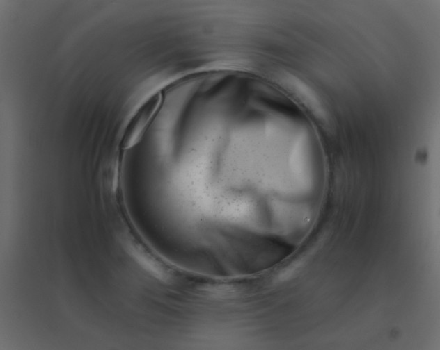 X0000094931276200712131529