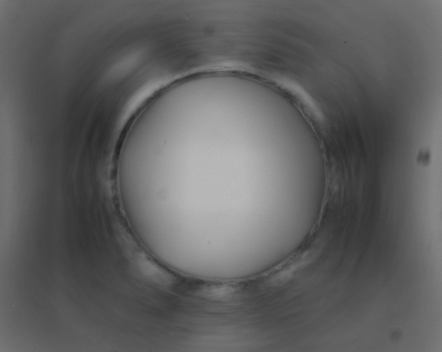 X0000094931278200712131529