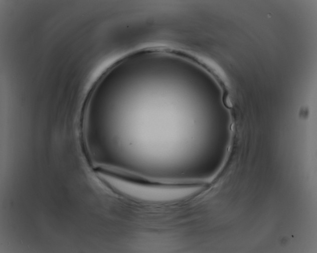 X0000094931279200712131529