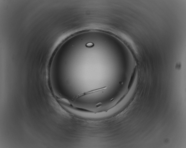 X0000094931280200712131529