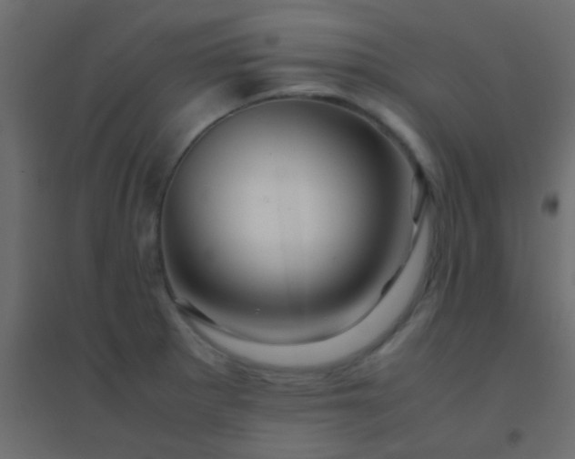 X0000094931281200712131529