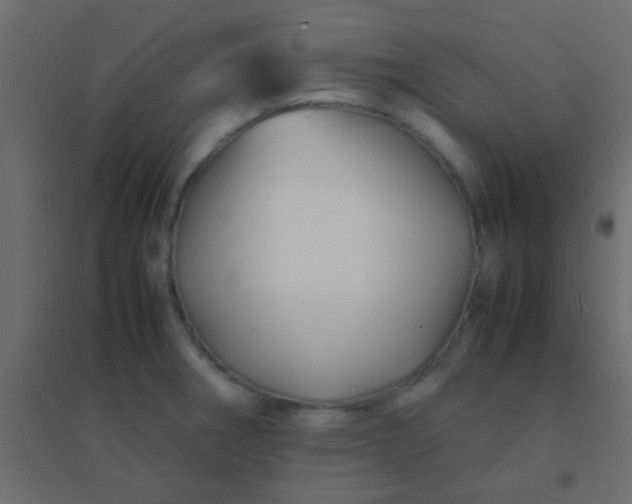 X0000094931282200712131529