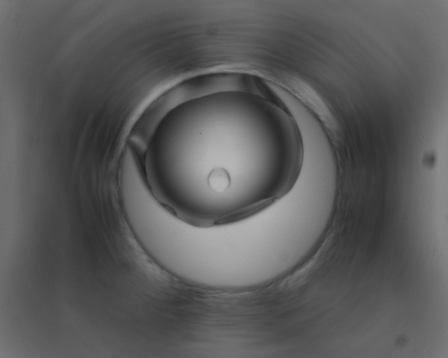 X0000094931284200712131529