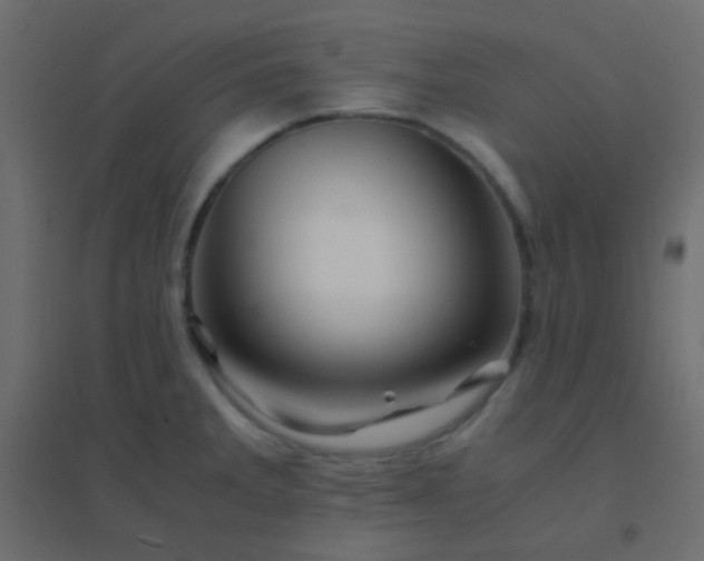 X0000094931285200712131529